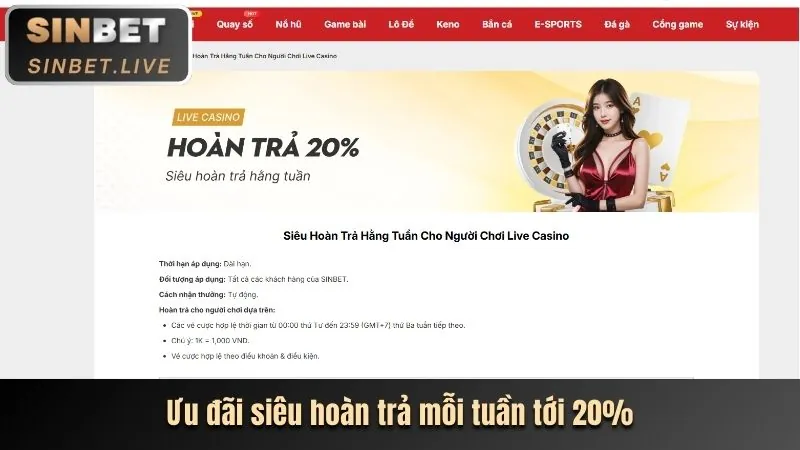 Các ưu đãi và khuyến mãi của betu